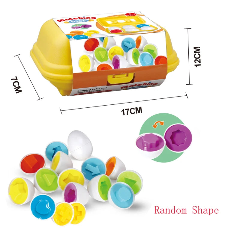 6/12PCS Montessori Huevos inteligentes